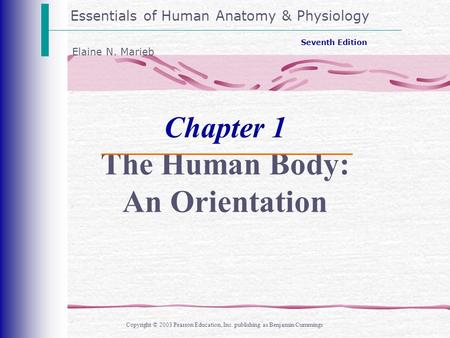 Essentials of Human Anatomy & Physiology Copyright © 2003 Pearson Education, Inc. publishing as Benjamin Cummings Seventh Edition Elaine N. Marieb Chapter.