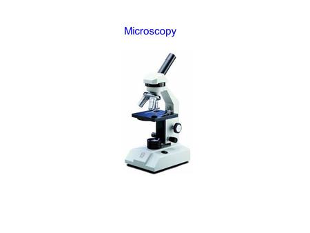 Microscopy.