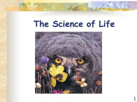 1 The Science of Life. 2 Biology – The Study of Life Life arose more than 3.5 billion years ago First organisms (living things) were single celled Only.