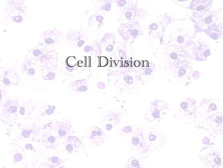  Asexual reproduction occurs by mitosis, it is a careful copying mechanism-meaning all offspring are always genetically identical to the parent  Sexual.