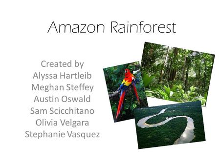 Amazon Rainforest Created by Alyssa Hartleib Meghan Steffey Austin Oswald Sam Scicchitano Olivia Velgara Stephanie Vasquez.