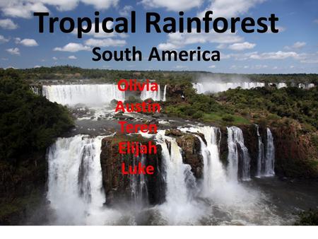 Tropical Rainforest South America Olivia Austin Teren Elijah Luke.