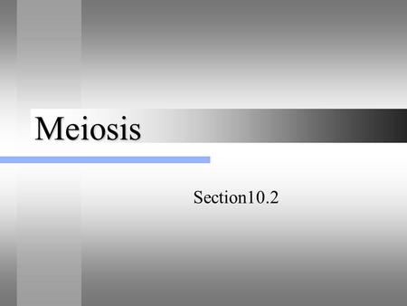 Meiosis Section10.2. In the body cells of animals and most plants, chromosomes occur in pairs. Diploid and haploid cells A cell with two of each kind.