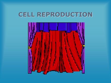 CELL REPRODUCTION MEIOSIS.