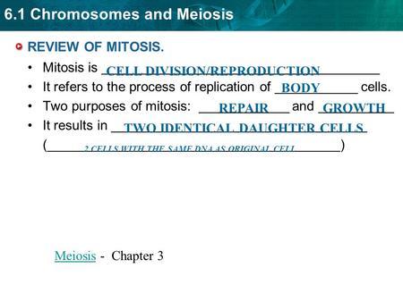 Mitosis is _____________________________________