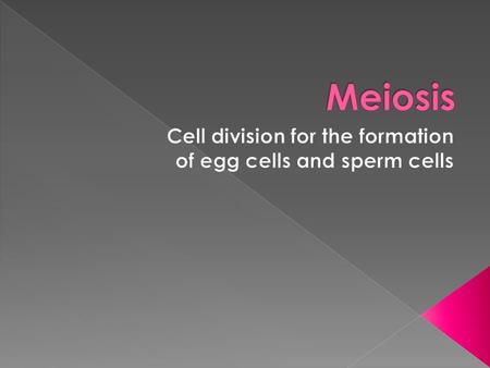 Homework: 11-4 worksheets Daughter cells are clones of each other And of the original parent.