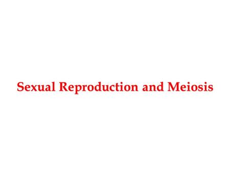 Sexual Reproduction and Meiosis