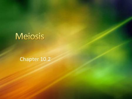 Chapter 10.2. Genes: Organisms have thousands of genes that determine individual traits They are lined up on chromosomes 1 chromosome holds 100-1000 genes.