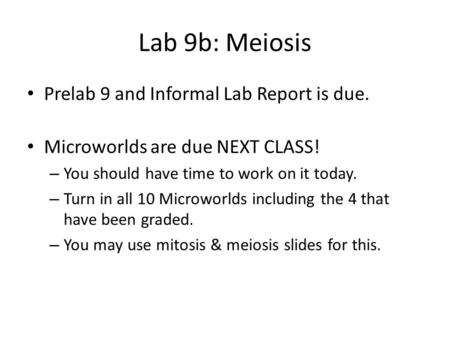 Lab 9b: Meiosis Prelab 9 and Informal Lab Report is due. Microworlds are due NEXT CLASS! – You should have time to work on it today. – Turn in all 10 Microworlds.