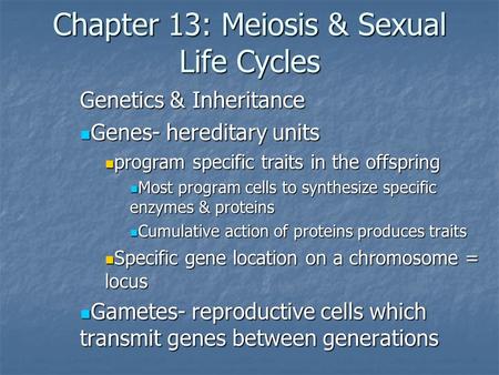 Chapter 13: Meiosis & Sexual Life Cycles