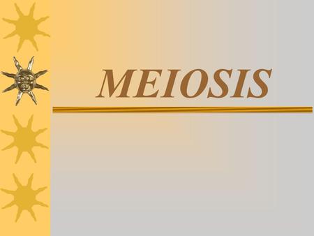 MEIOSIS.