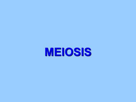 MEIOSIS.