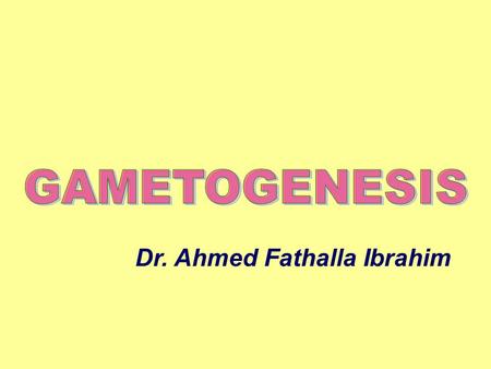 Dr. Ahmed Fathalla Ibrahim