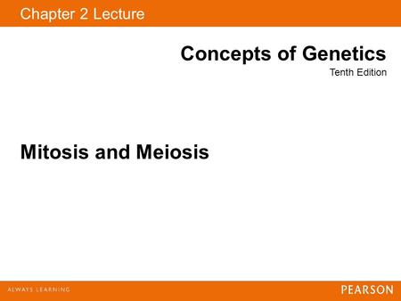 Mitosis and Meiosis.