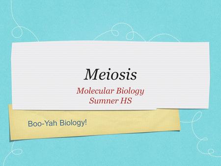 Boo-Yah Biology! Meiosis Molecular Biology Sumner HS.