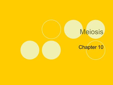 Meiosis Chapter 10.