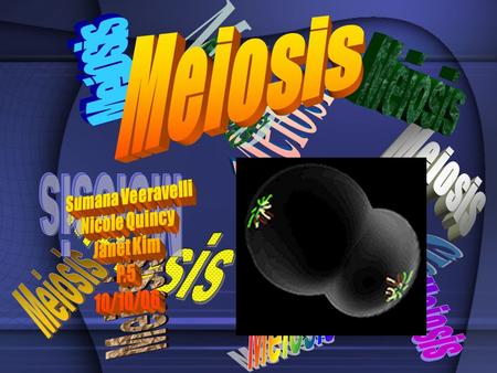 Meiosis Meiosis Meiosis Meiosis Meiosis Meiosis Meiosis