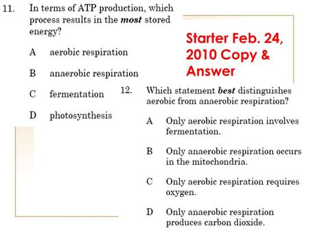 Starter Feb. 24, 2010 Copy & Answer