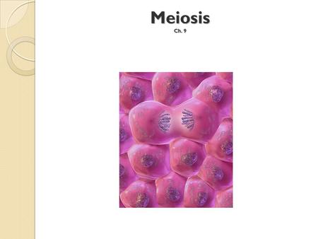 Meiosis Ch. 9.