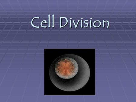 Cell Division.