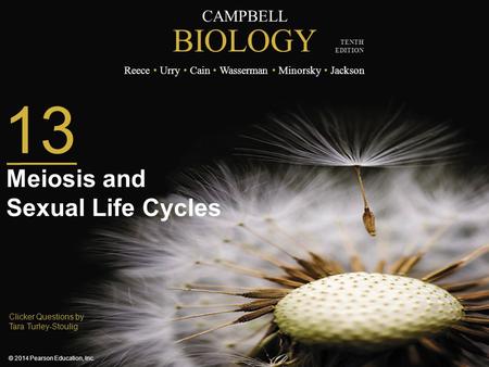 Meiosis and Sexual Life Cycles