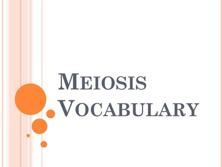 M EIOSIS V OCABULARY. All of the DNA in an uncondensed (spaghetti- like) form A double rod of condensed chromatin Chromatin Chromosomes.