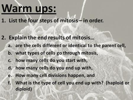 Warm ups: List the four steps of mitosis – in order.