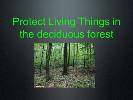 Protect Living Things in the deciduous forest. Goal Protect living things in the deciduous forest.