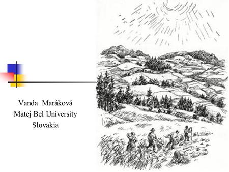 Vanda Maráková Matej Bel University Slovakia. Low capacity of accommodation facilities (RT – max. 15 rooms :30 beds, AT 10 rooms) Family hospitality Nature.