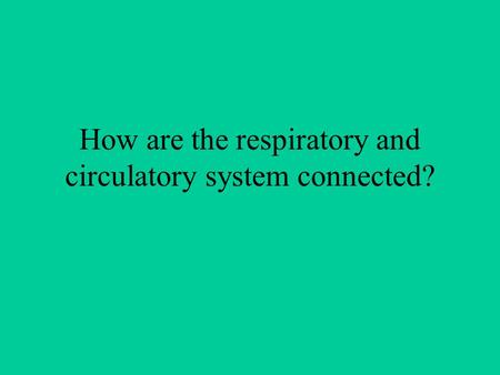 How are the respiratory and circulatory system connected?