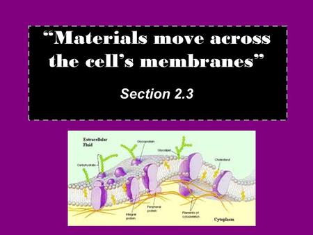 “Materials move across the cell’s membranes”