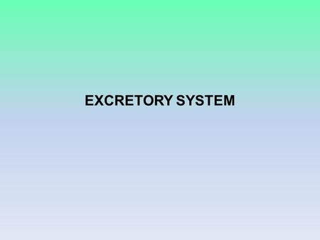 EXCRETORY SYSTEM. Functions of the Urinary System Elimination of waste products –Nitrogenous wastes from protein and nucleic acid metabolism Urea is the.