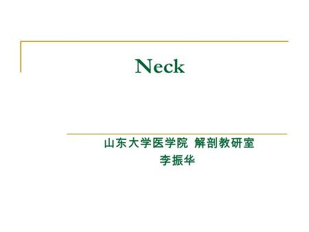 Neck 山东大学医学院 解剖教研室 李振华.