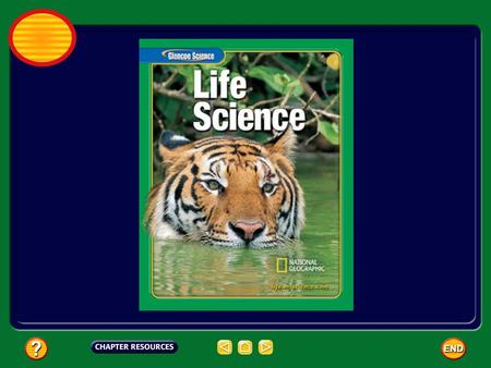 What are living things like? What does it mean to be alive? Any living thing is called an organism. They have different behaviors and food needs. In spite.