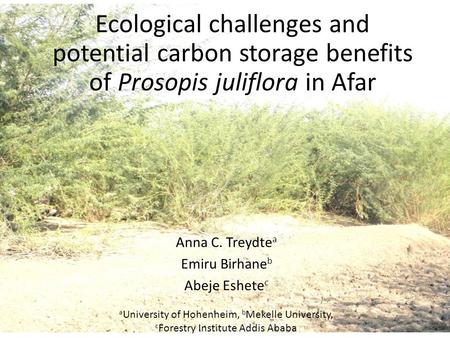 Anna C. Treydte a Emiru Birhane b Abeje Eshete c a University of Hohenheim, b Mekelle University, c Forestry Institute Addis Ababa Ecological challenges.