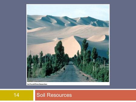 14Soil Resources. Overview of Chapter 14  The Soil System  Soil Properties and Major Soil Types  Environmental Problems Related to Soil  Soil Conservation.