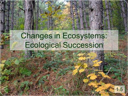 Changes in Ecosystems: Ecological Succession