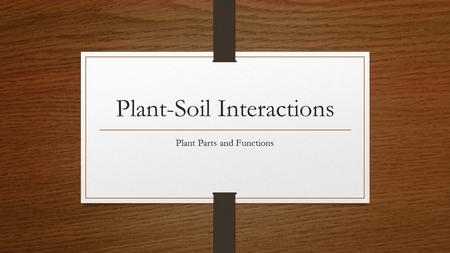 Plant-Soil Interactions Plant Parts and Functions.