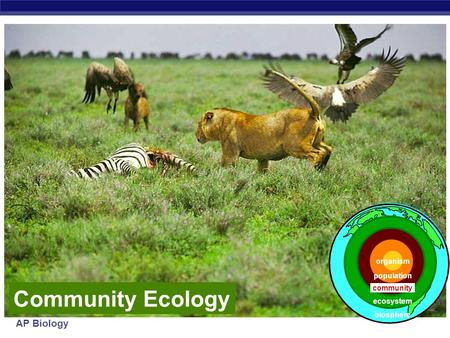 AP Biology Community Ecology population ecosystem community biosphere organism.