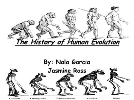 The History of Human Evolution