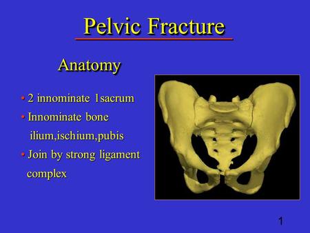 Pelvic Fracture AnatomyAnatomy 2 innominate 1sacrum 2 innominate 1sacrum Innominate bone ilium,ischium,pubis Innominate bone ilium,ischium,pubis Join.