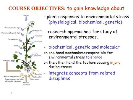 COURSE OBJECTIVES: to gain knowledge about