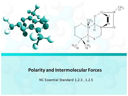 Polarity and Intermolecular Forces