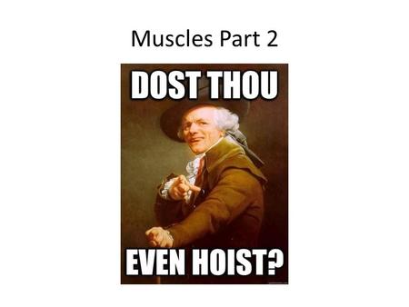 Muscles Part 2. ATP Sources All muscle cells have some free ATP when relaxed but this is depleted almost immediately during contraction Once the ATP supply.