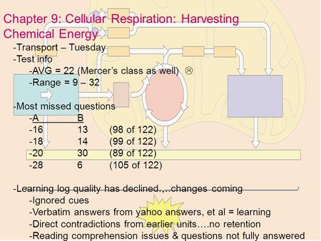 Chapter 9: Cellular Respiration: Harvesting Chemical Energy