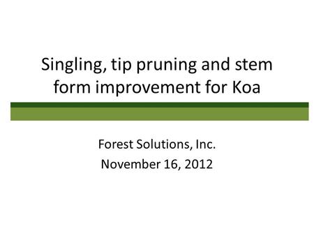 Singling, tip pruning and stem form improvement for Koa Forest Solutions, Inc. November 16, 2012.