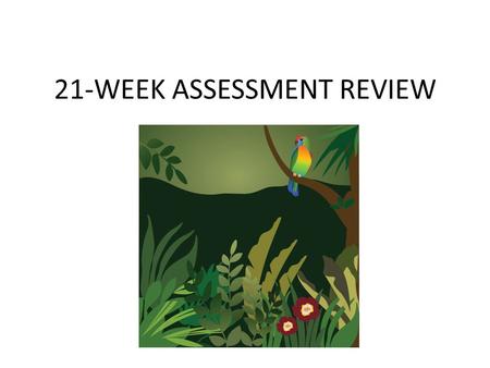 21-WEEK ASSESSMENT REVIEW