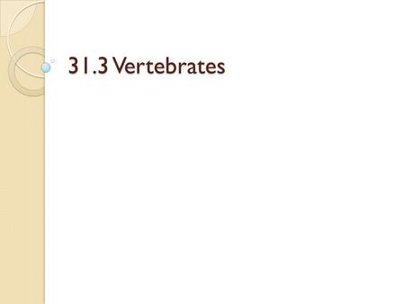 31.3 Vertebrates. Vertebrate Intro Have all 4 chordate characteristics at some point of development Embryonic notochord generally replaced by vertebral.