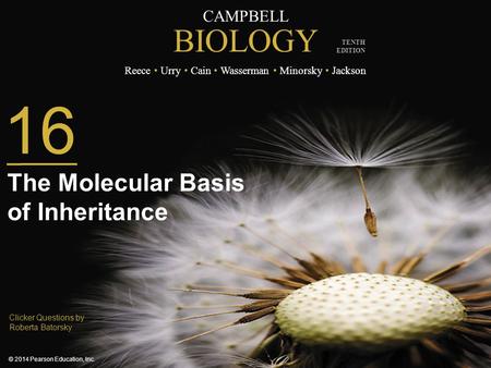 The Molecular Basis of Inheritance