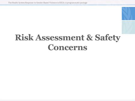 The Health System Response to Gender-Based Violence in EECA: A programmatic package Risk Assessment & Safety Concerns.